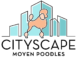Cityscape Moyen Poodles